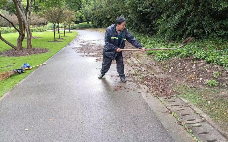 暴雨过后又见保洁